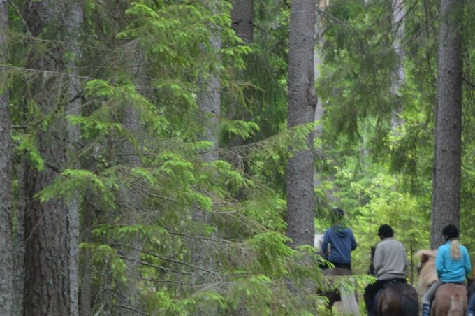 Då har vi ridit årets första Valsjöritt, i en blöt och lerig skog men ack så trevligt det är när brasan står färdig när ridgruppen anländer till grillplatsen. Där hästarna får stå vid varsitt träd och äta ur en hög hösilage. 

Vill ni också rida Valsjöritten? Boka redan idag, så ni får den tid som passar er bäst. 
Välkomna!  