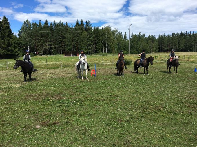 Nu är det fjärde och sista lägret igång för denna sommar. 
Det är 7 st tjejer som rider och tillbringar 3 dagar på gården. 
De sysslar med allt ifrån pyssel med hästarna, hinderbana, rid teknik och långritter i skogen. 

Under sommaren har det som sagt varit 4 st läger, där Fallets turridning har arrangerat 2 st 